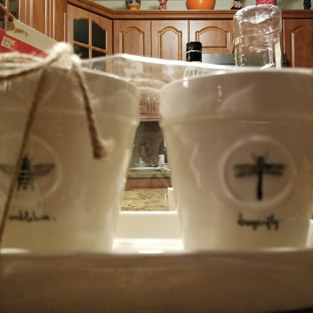 Rae dunn pots dragonfly, bumble bee, ladybugs